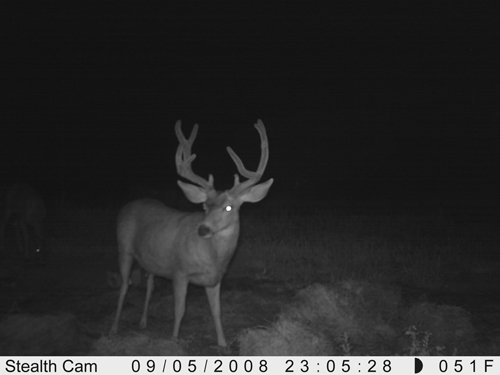 Property photo 42 - 7,320 Acres Offered in 5 Tracts
